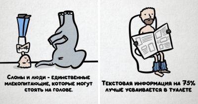 16 фактов обо всём на свете от проекта «Не перепутай!», которые могут застать вас врасплох - twizz.ru